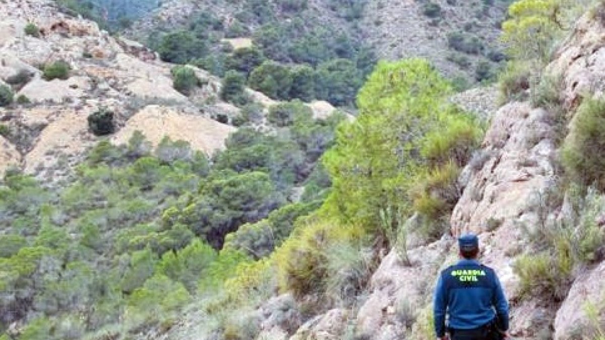 Imagen de la Guardia Civil en la actuación que realizaron en Bédar.