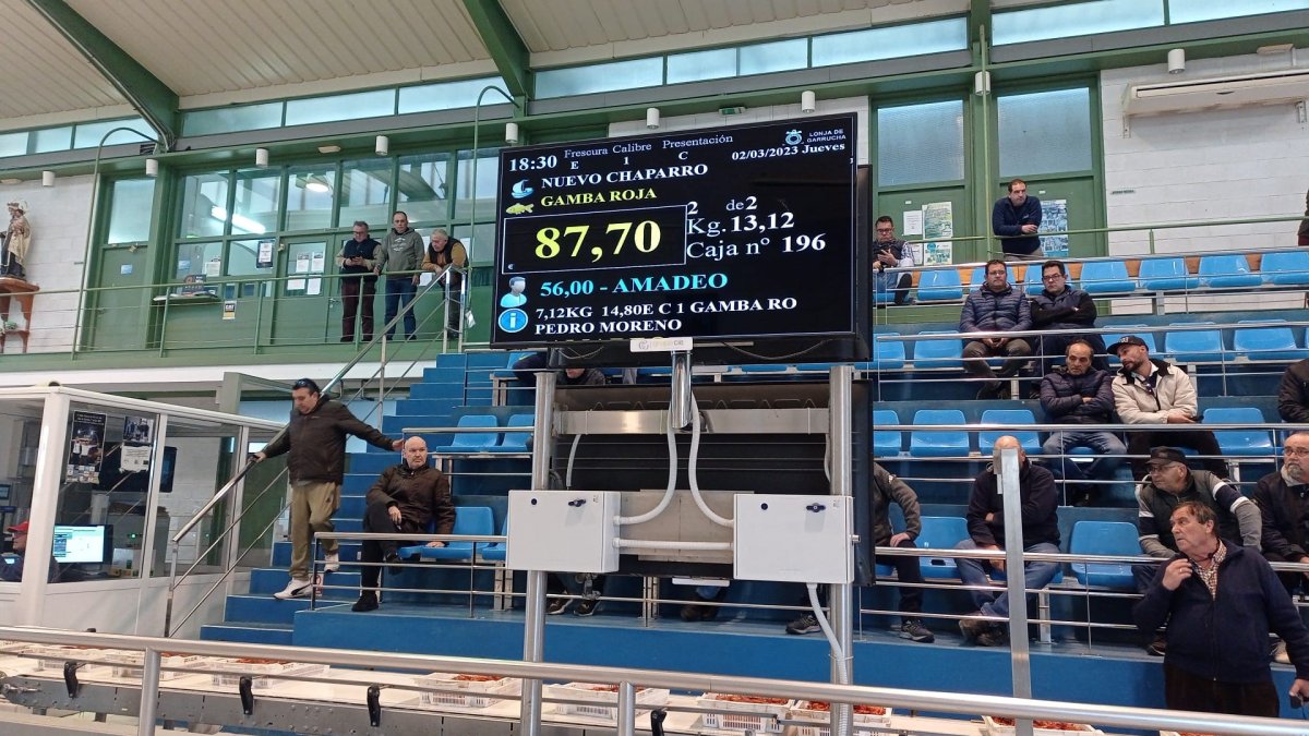 Lonja del Puerto de Garrucha durante la venta de ayer.