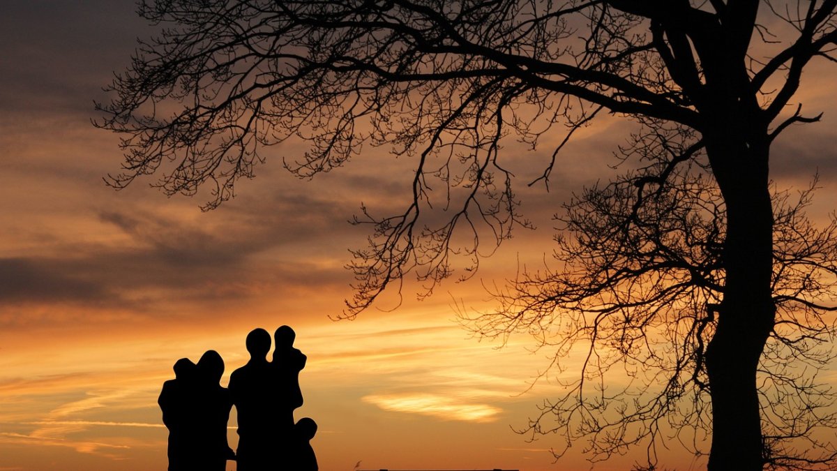 Imagen de archivo de Pixabay.