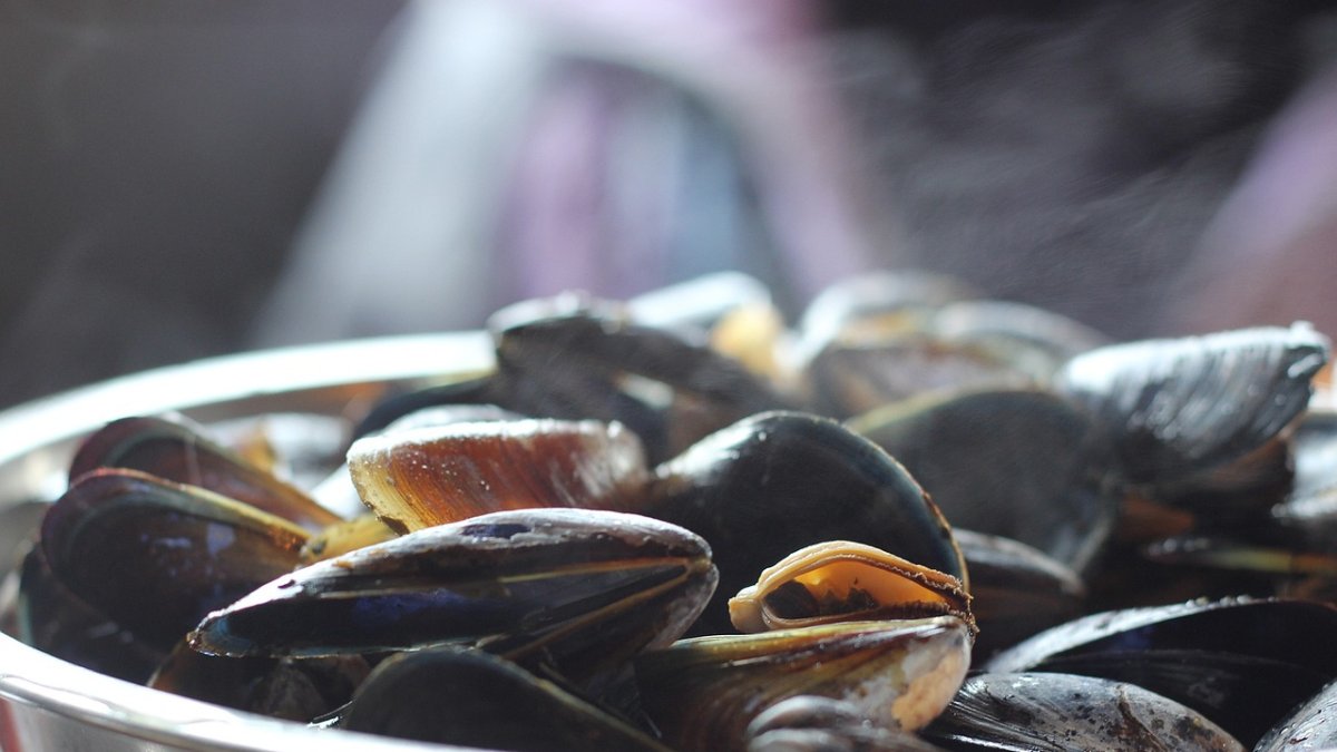 Mejillones.