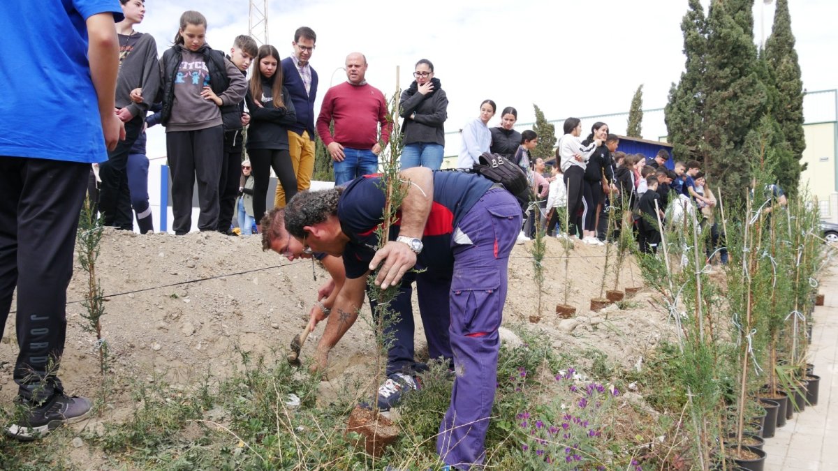 El Ayuntamiento y los estudiantes han plantado los árboles.