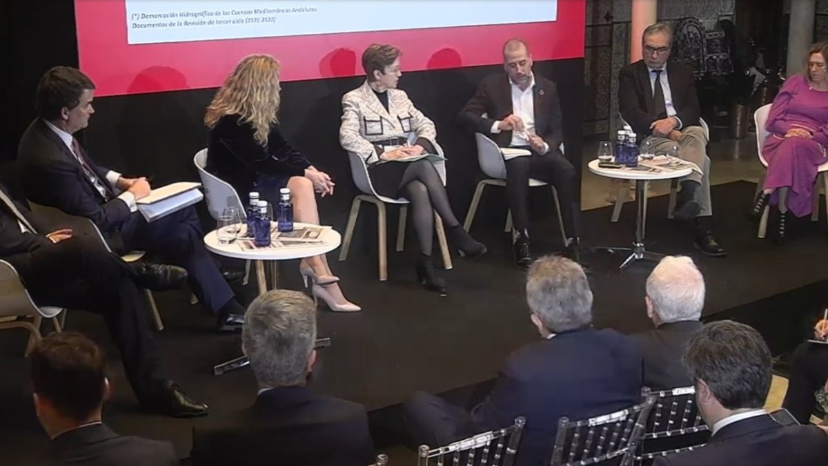 Imagen de la mesa redonda celebrada este miércoles en Sevilla.