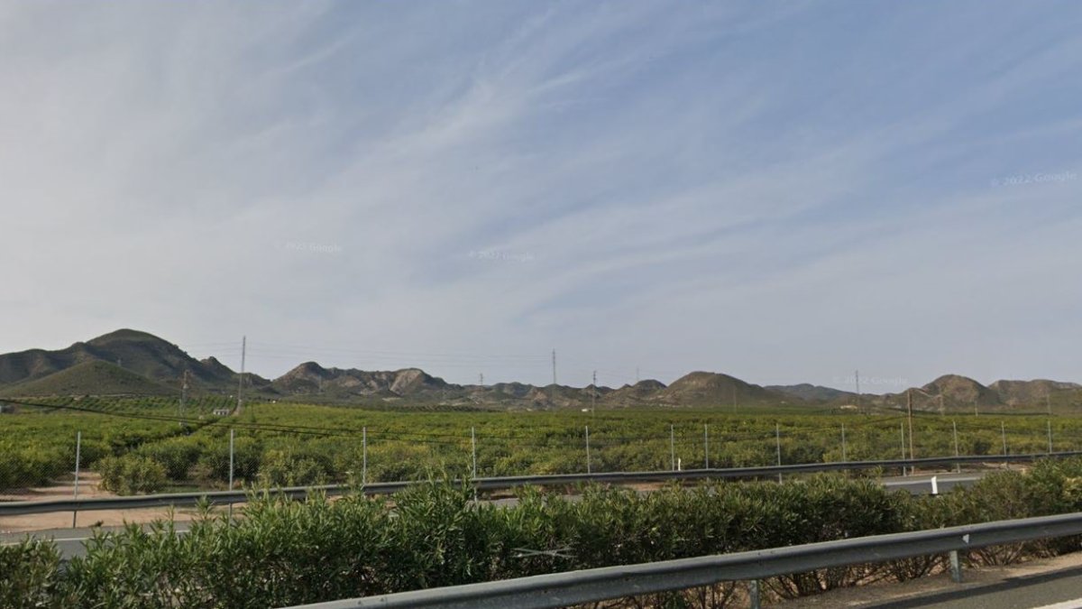 Superficie de naranjos de La Ballabona, junto a la Autovía del Mediterráneo.