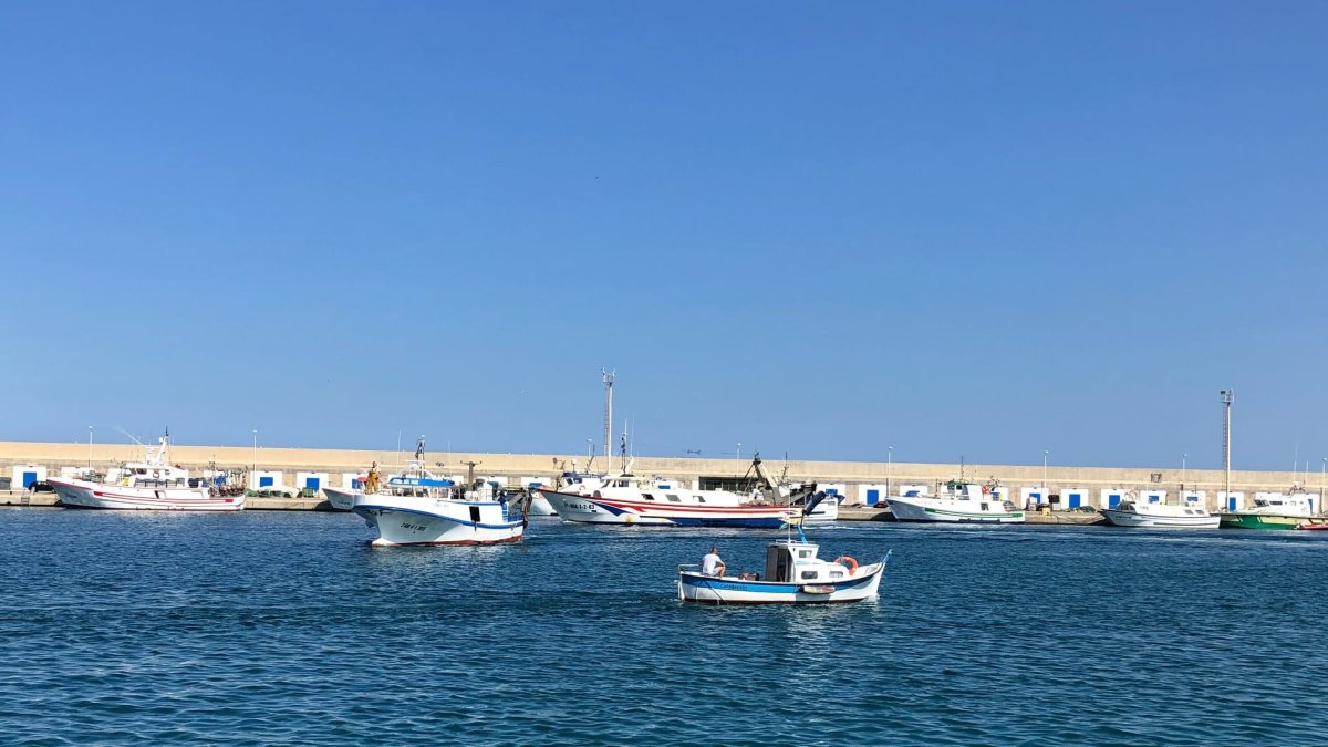 Imagen de archivo del puerto pesquero de Carboneras.