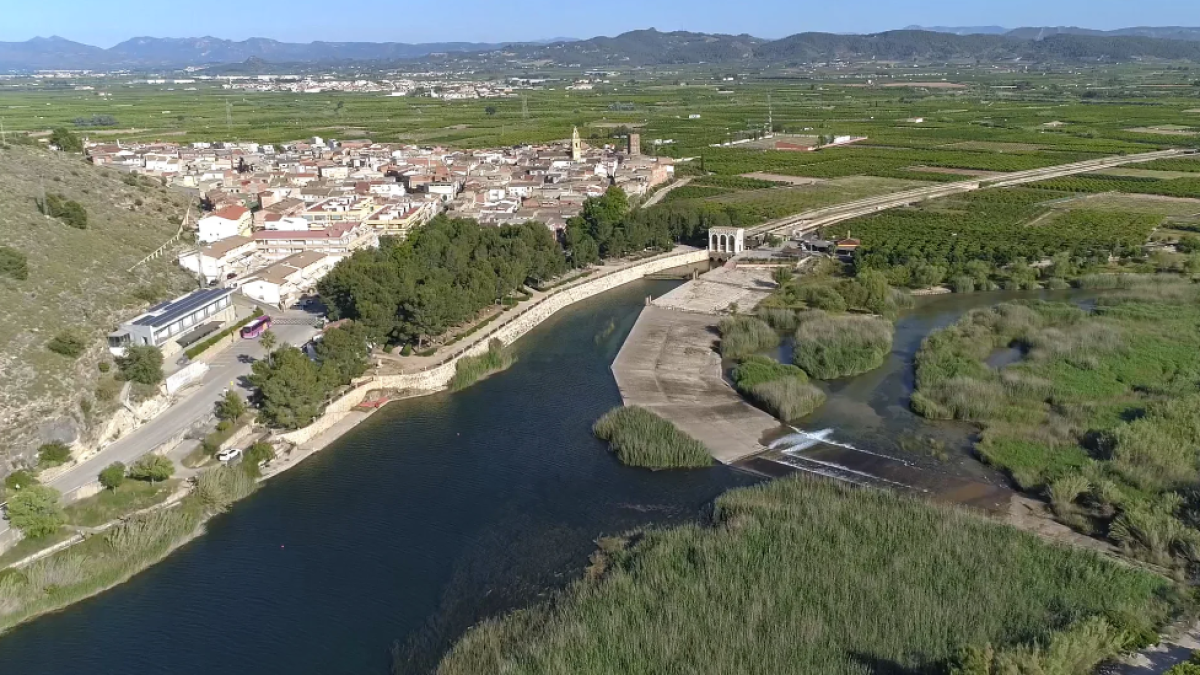 Agua de la Acequia Real del Júcar, en Valencia.