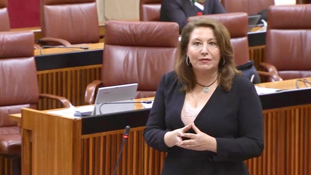 Carmen Crespo en el Parlamento.