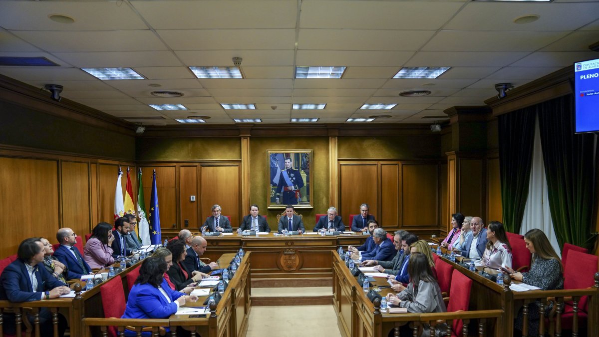 Imagen del Pleno de la Diputación Provincial de Almería.