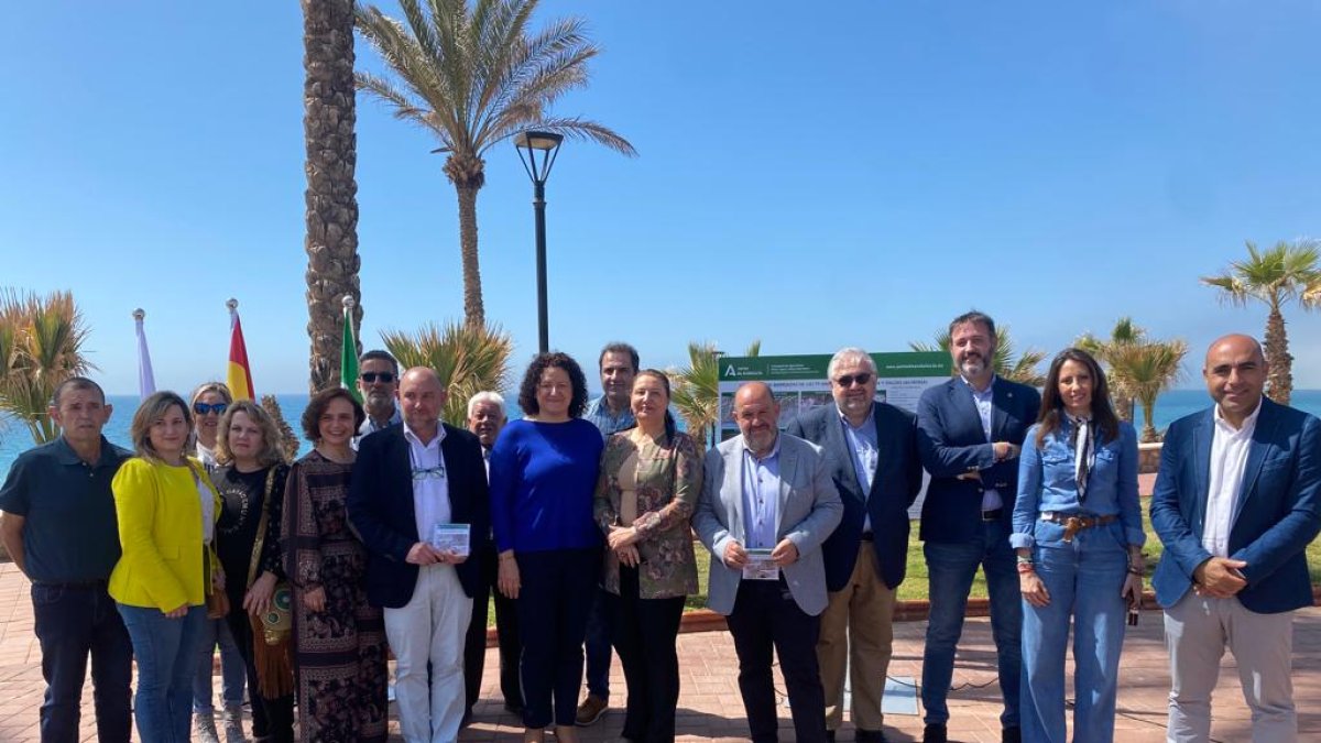 Se han presentado estas actuaciones.