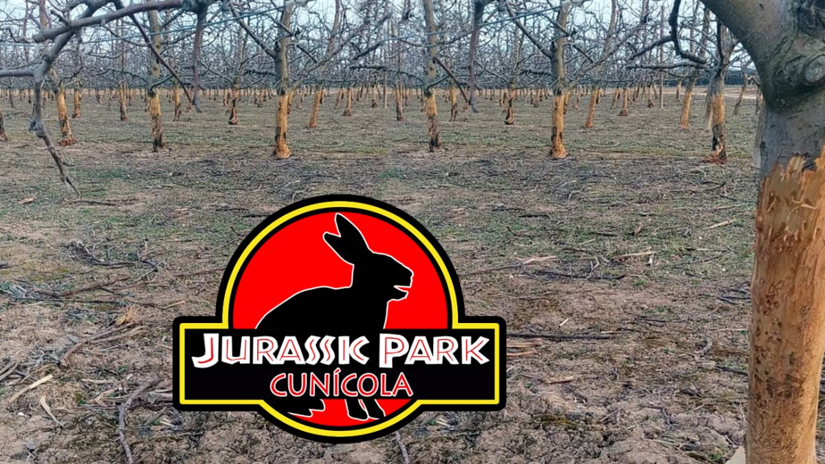 Cartel con el que COAG ha denunciado la proliferación de conejos híbridos