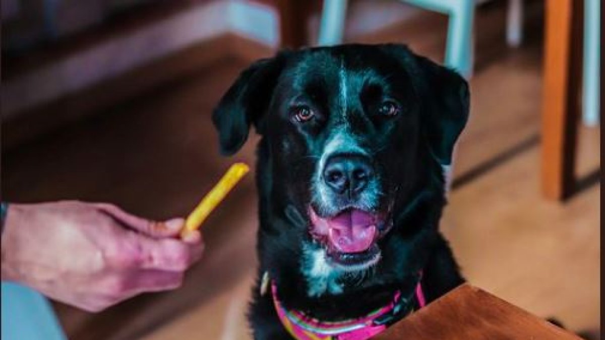 Imagen compartida por la hamburguesería para anunciar su decisión.