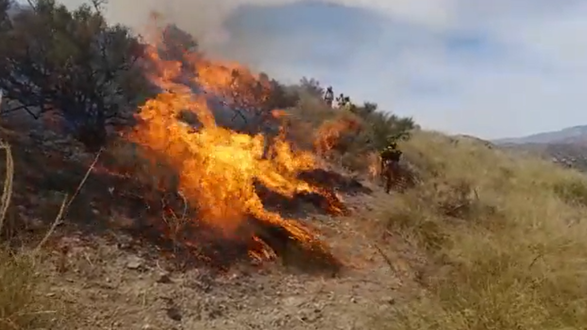 Imagen captura del vídeo que publicó el Infoca en Twitter.
