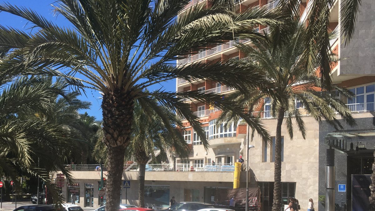 Las obras se han realizado en la zona de ocio exterior.