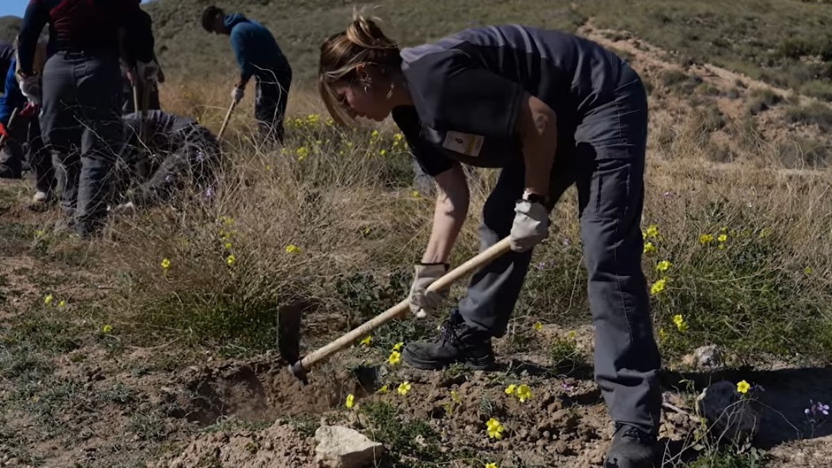 Carboneras ha creado cuatro nuevas bolsas de empleo local.