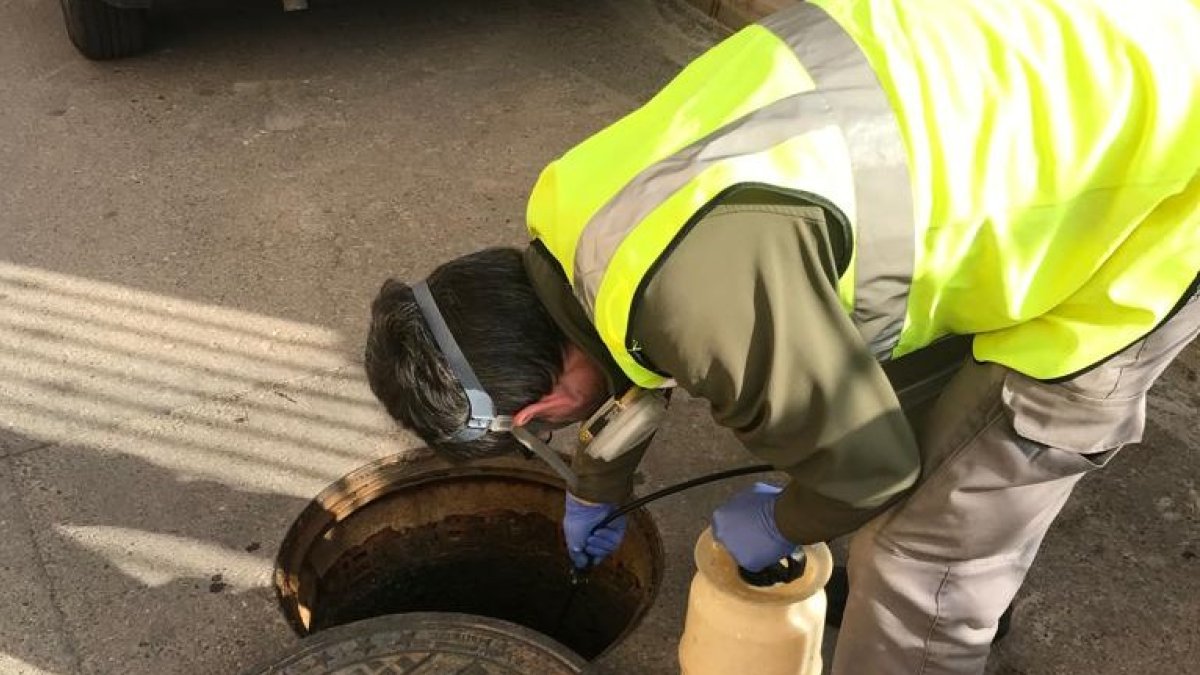 Trabajos de detección, prevención, control y tratamiento de las diferentes plagas, con el objetivo de evitar problemas de salud pública para la p