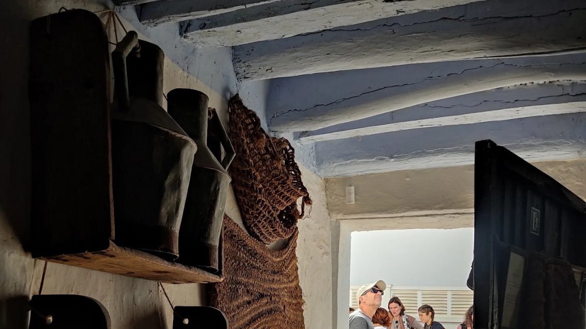 Foto de la Asociación Trotamundos Animado de la primera salid de \'Alpujarrea\'.