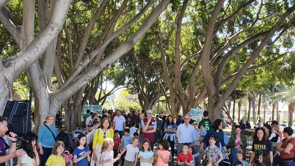 Niños en Juegos en Familia.