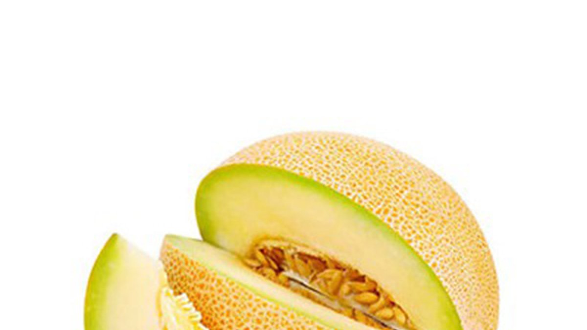Melón Galia de Vicasol.