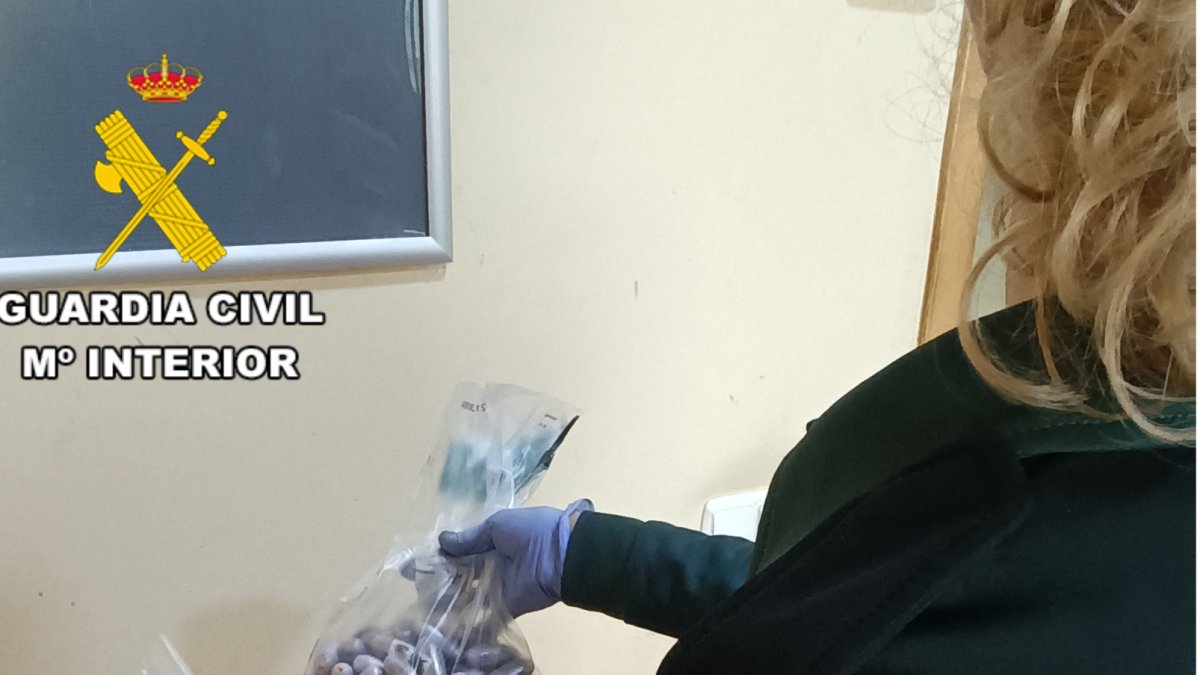 Bellotas que portaba la detenida.