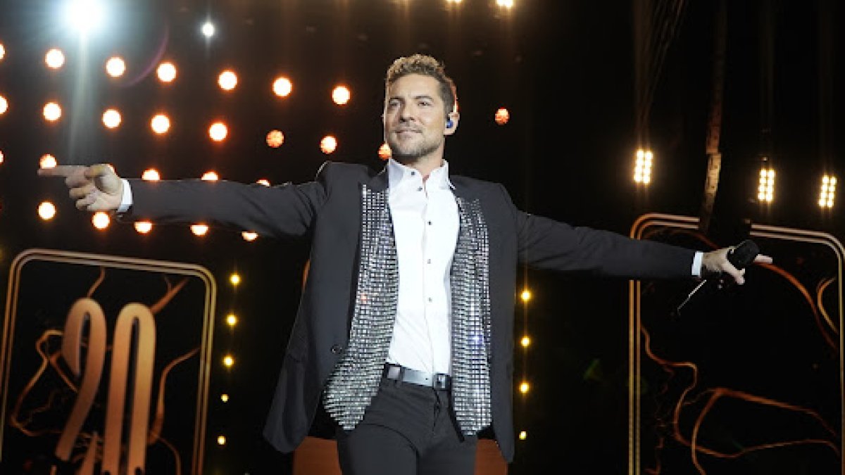 David Bisbal en su concierto aniversario en Almería. Foto: Fran Muñoz