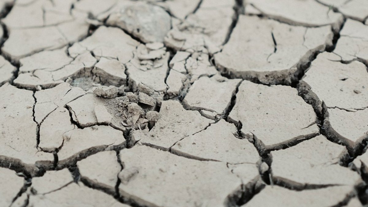 La sequía, una amenaza muy real.