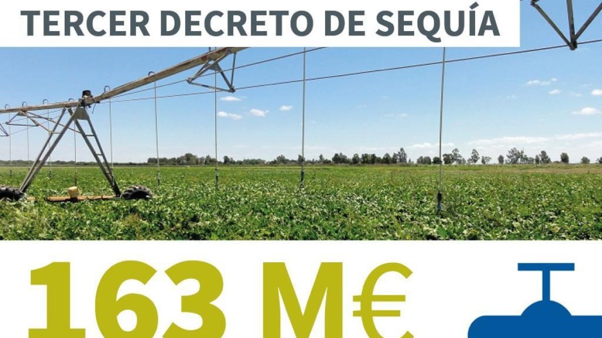 Gráfico en las redes sociales de la Junta de Andalucía.