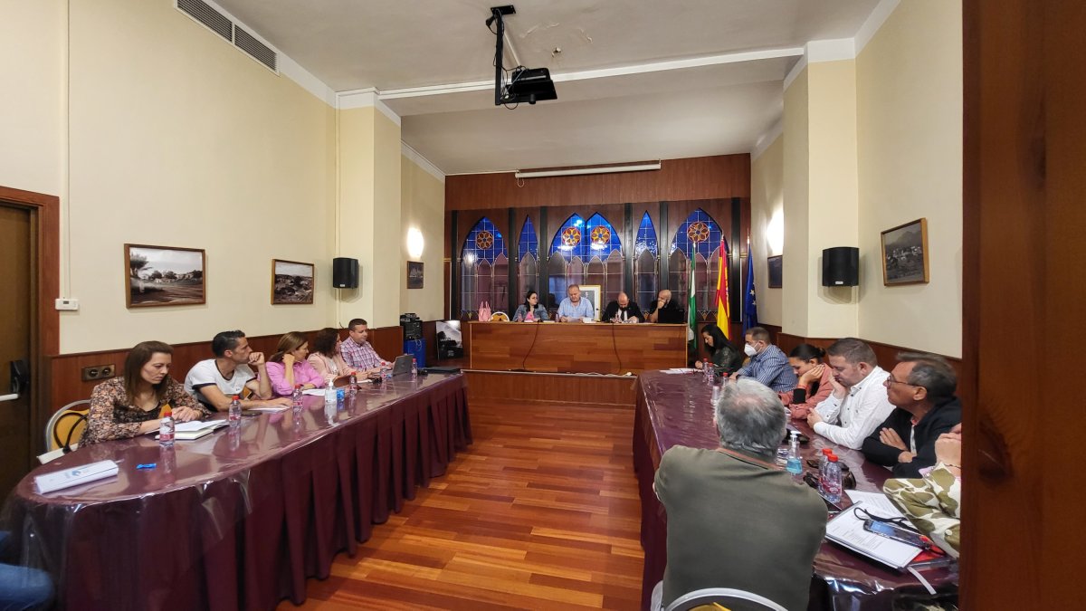Pleno celebrado este 2 de mayo en Cuevas del Almanzora.