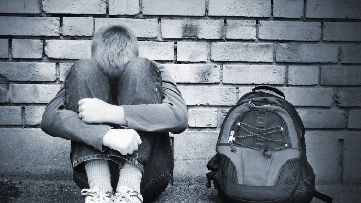 El acoso escolar es uno de los más graves problemas  para el sistema educativo.