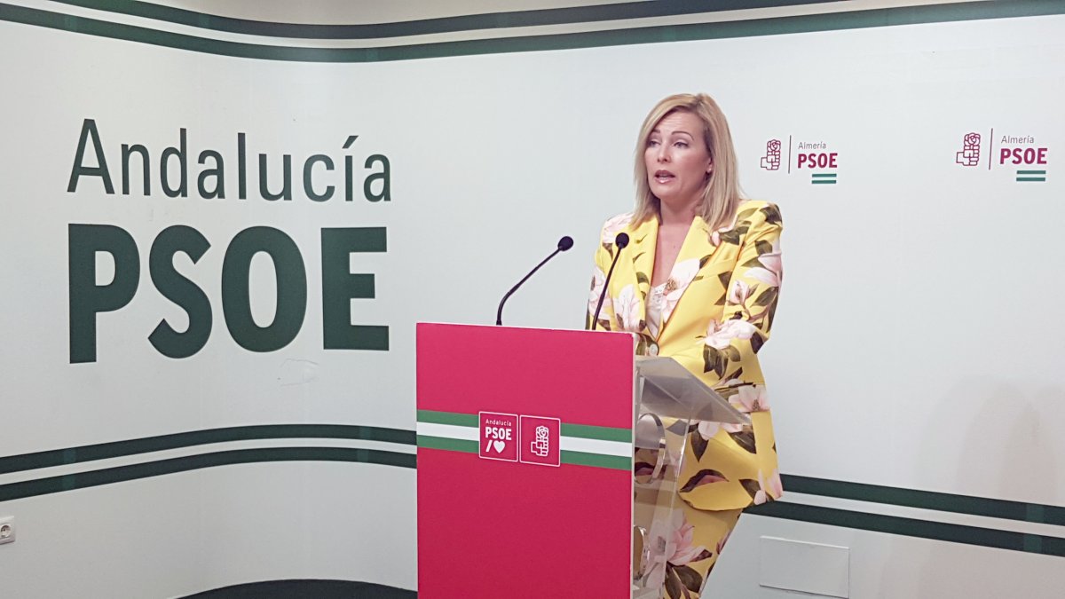 Teresa Piqueras, este viernes en rueda de prensa.