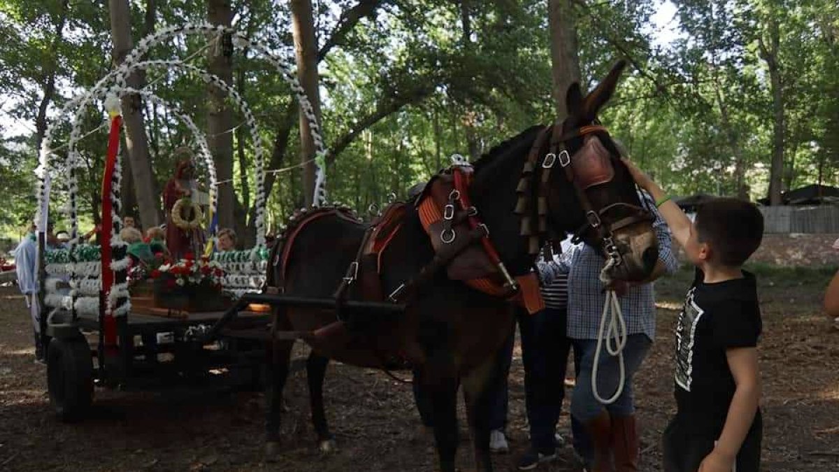 Imagen de la Romería de 2022 en Fondón.