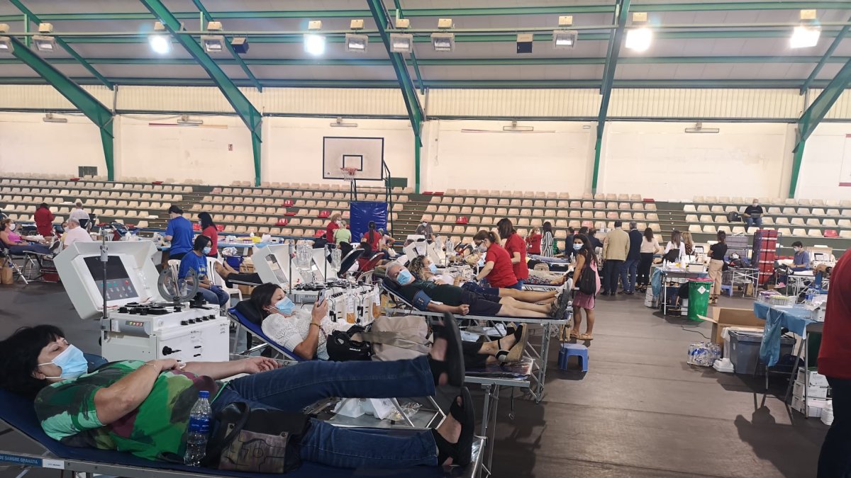 Donantes de plasma, la mañana de este jueves en el pabellón Rafael Florido.