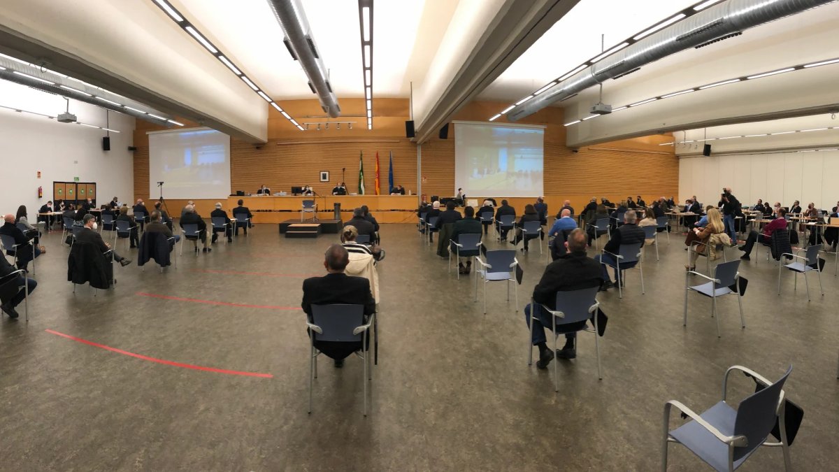 Sala de vistas durante el juicio.