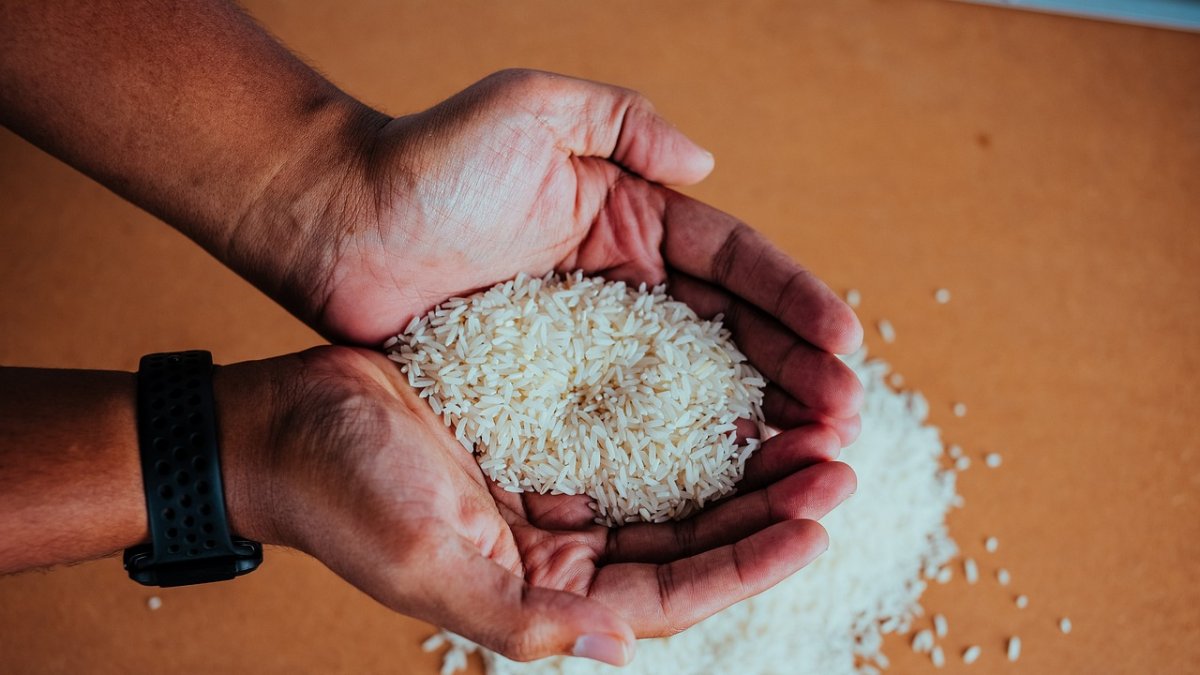 Arroz para tu almuerzo del miércoles.