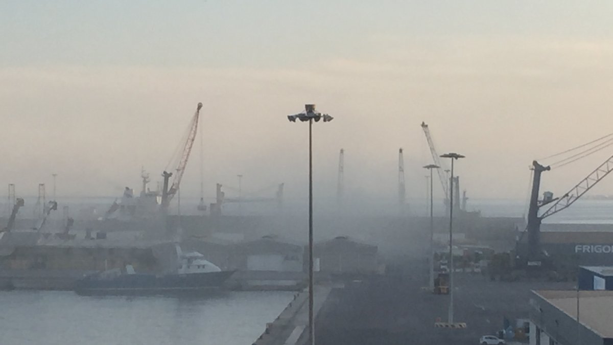 Una imagen reciente de maniobras de carga de graneles sólidos en el muelle de poniente del puerto donde se aprecia el alto grado de contaminación