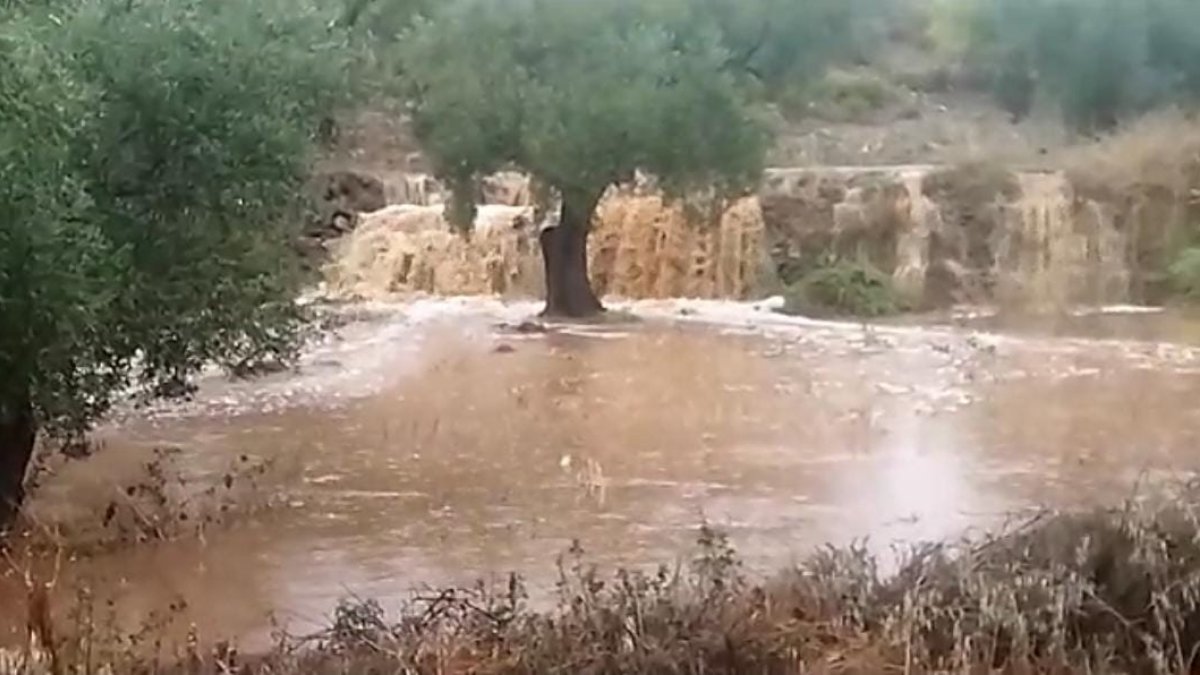Rambla este lunes en el término municipal de Lubrín.