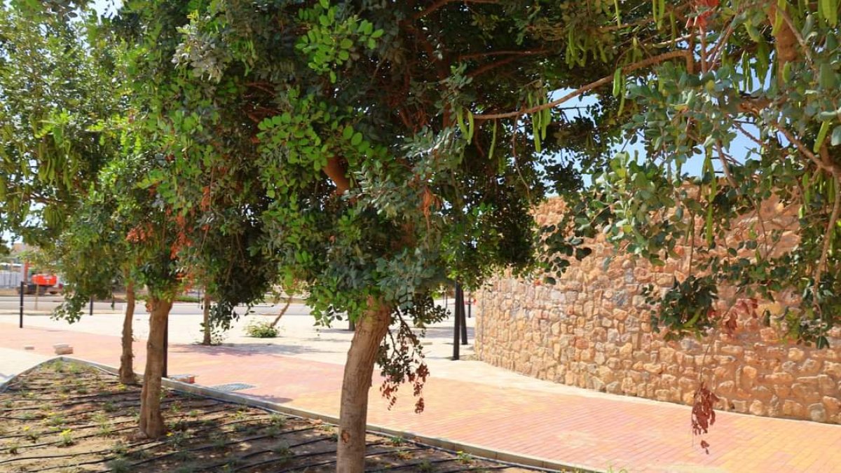 La vegetación llega al \'Gran Parque de las Familias\' de El Ejido.