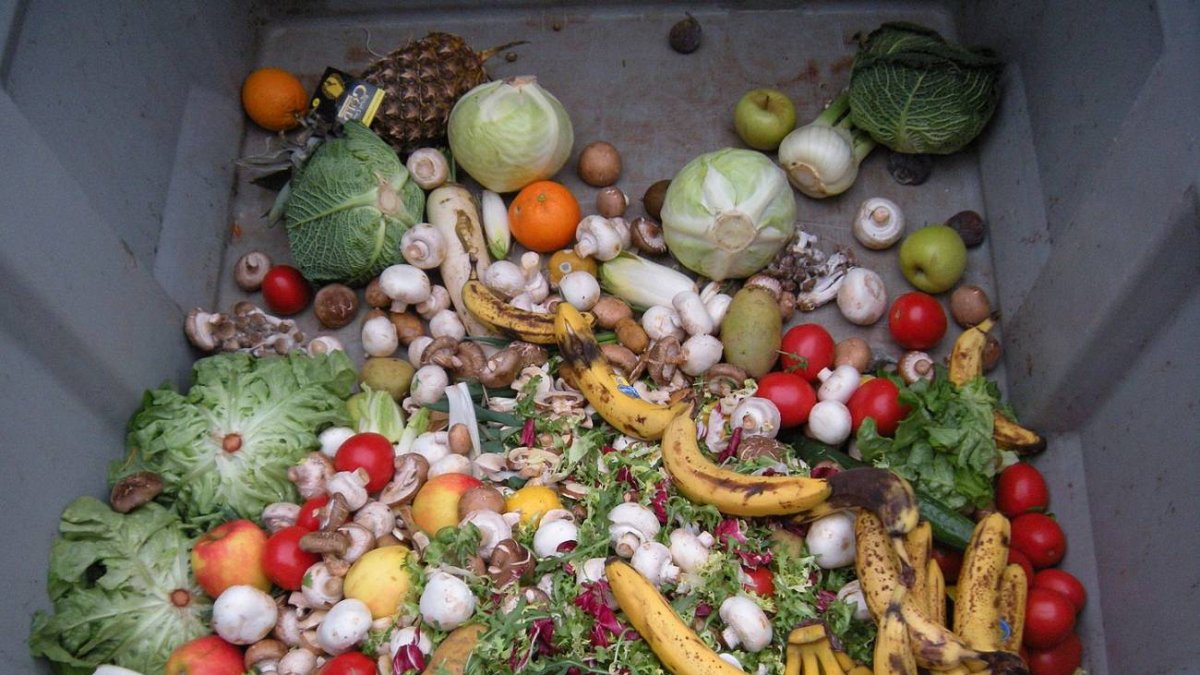 Los residuos orgánicos pueden tener una segunda vida reciclados en suplementos dietéticos o servir para la obtención de biocombustibles