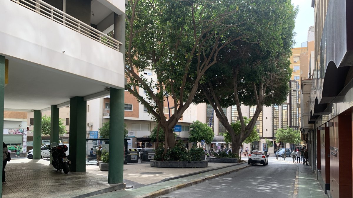 Calle Magistral Domínguez.