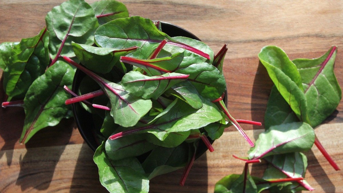 Acelgas en la cena del martes.