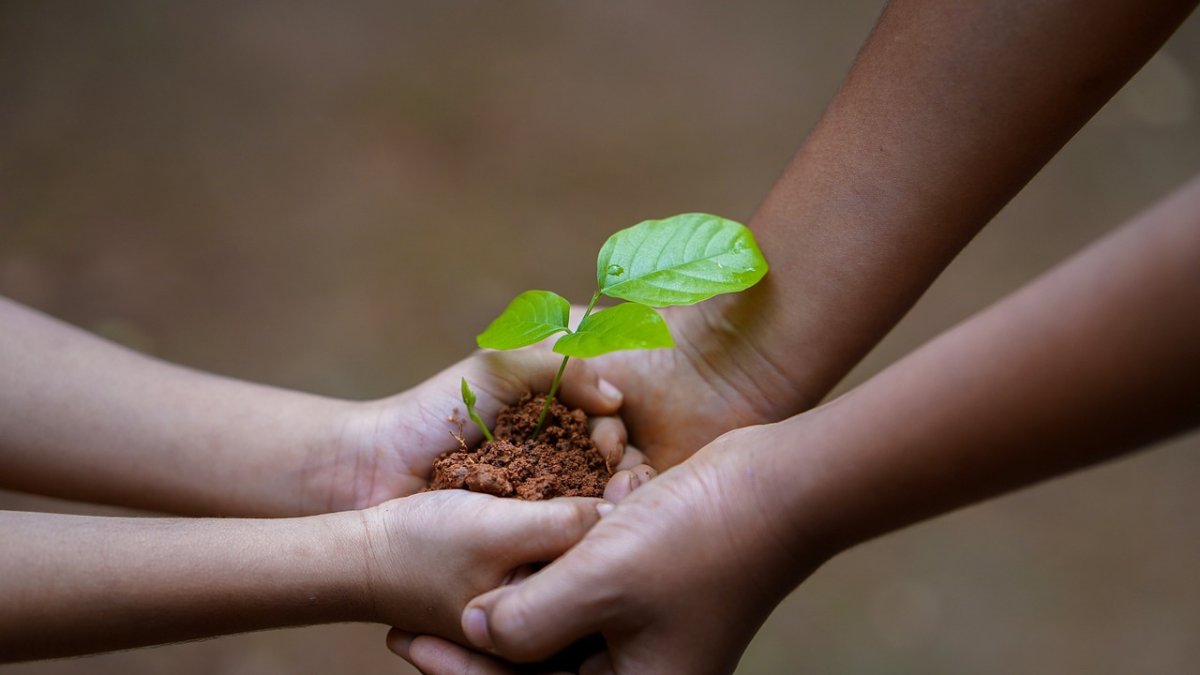 Optar a un ambiente saludable es un derecho fundamental de la infancia y adolescencia.