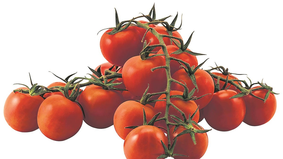 Tomates.