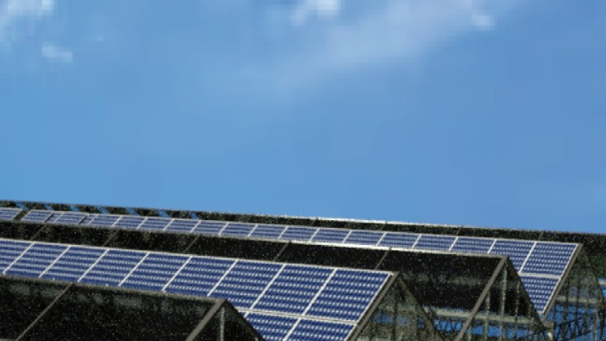 Los invernaderos se postulan como centros de producción de energía solar