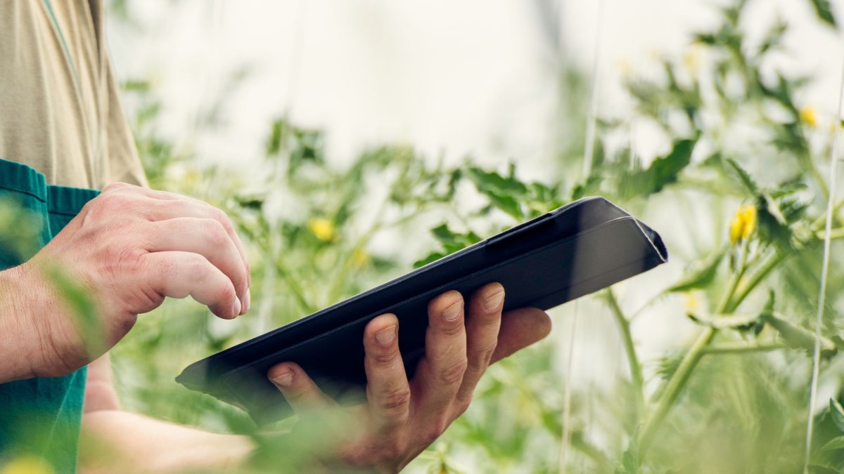 Cuaderno Digital obligatorio en explotaciones agrarias a partir del 1 de enero de 2024