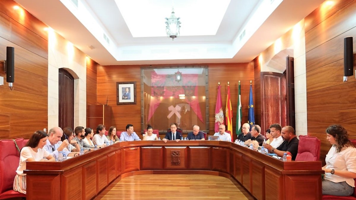 Sesión plenaria celebrada en Vera este miércoles.