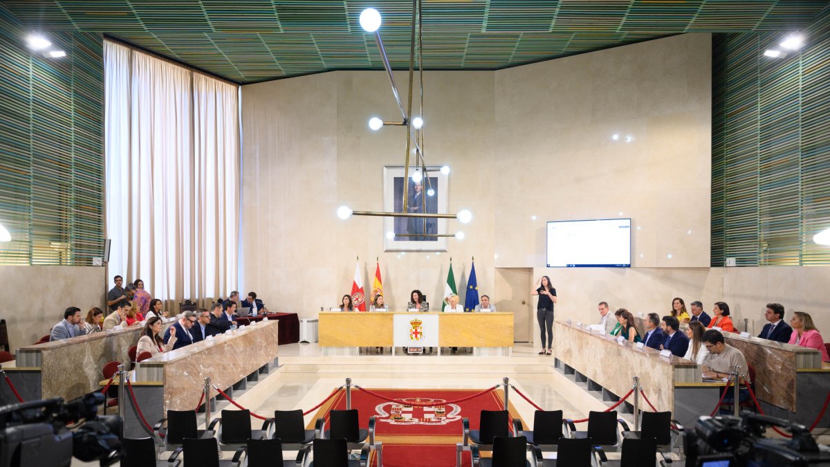 Sesión plenaria del Ayuntamiento de Almería