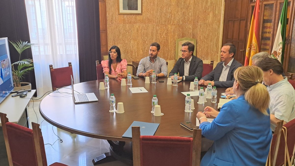 Presentación de la alternativa elegida.