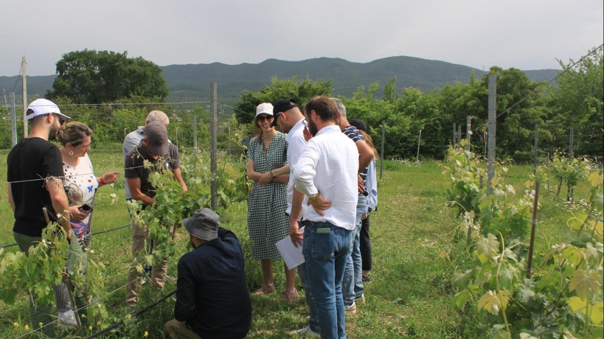 Los inspectores de la FAO recorren el mundo para analizar la presencia de plaguicidas en los cultivos.