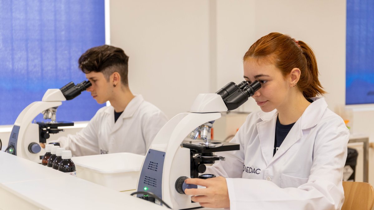 Conoce las mejores alternativas para no quedarte sin la tuya.