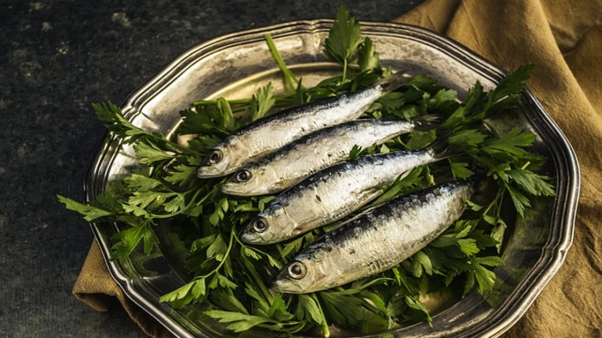 Sardinas en tu menú del martes.