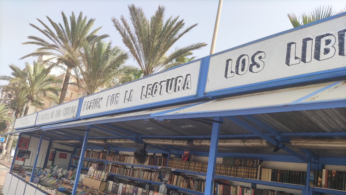 Biblioplaya El Palmeral