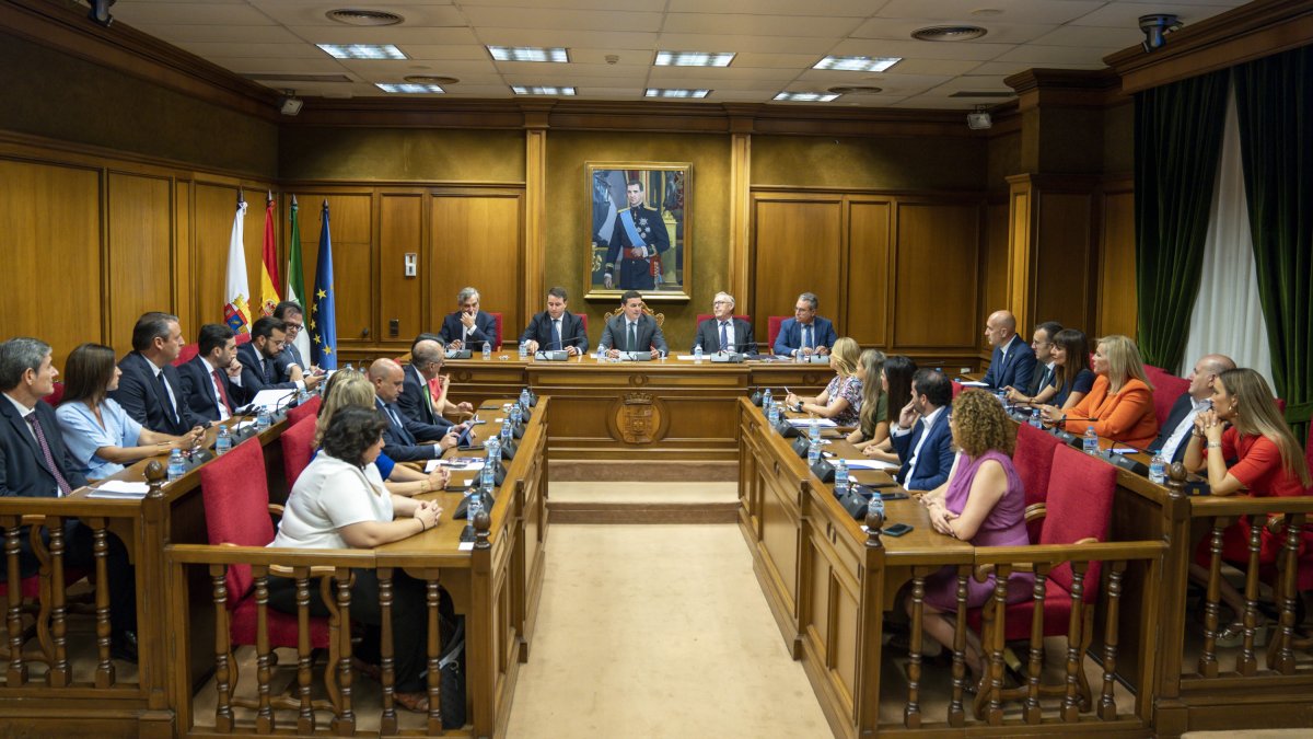 Imagen del Pleno en la Diputación Provincial de Almería.